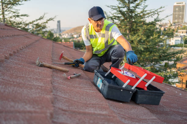 Best Storm Damage Siding Repair  in Noroton, CT